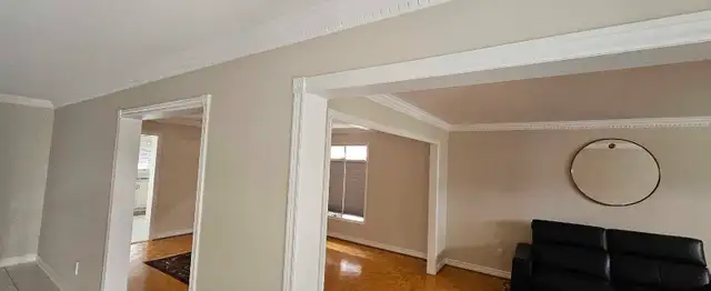 Top Painter in the Region63235338390529123