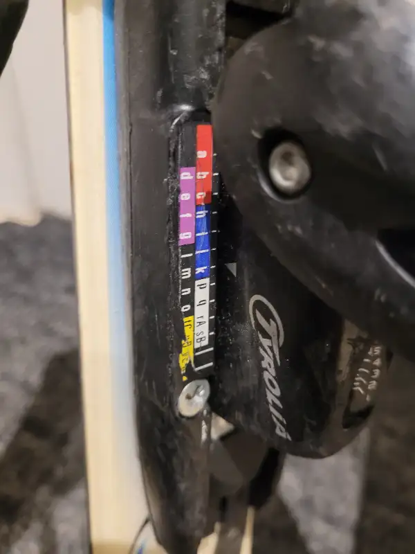Rossignol Racing Skis 110 cm with Tyrolia adjustable bindings in Ski in Calgary - Image 9