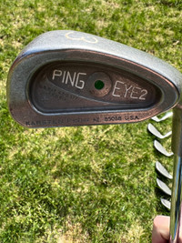 Ping Golf Club Set with Mizuno Woods