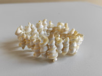 Conches Nacre Beaded Stretch Bracelet