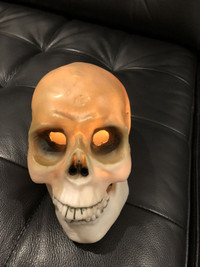 Laughing light up skull Halloween 