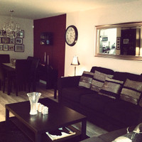 Gorgeous Fully Furnished One Bedroom Condo in Winnipeg