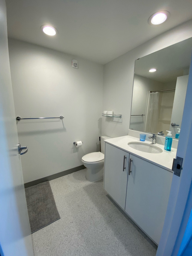 Subletting apartment in Long Term Rentals in Winnipeg - Image 3