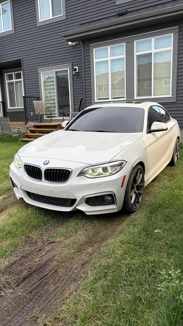 Msport 230i BMW