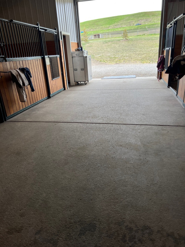 Horse  board in Horses & Ponies for Rehoming in La Ronge