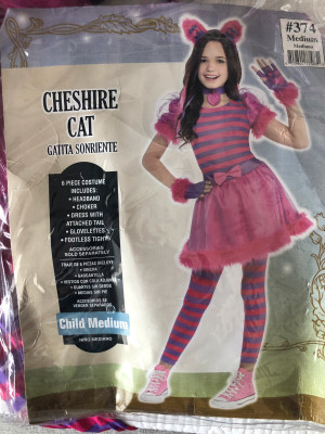 Cheshire Cat Costume in Ontario - Kijiji™