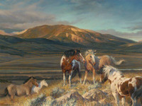 NANCY GLAZIER LIMITED EDITION PRINTS HORSE ART FROM