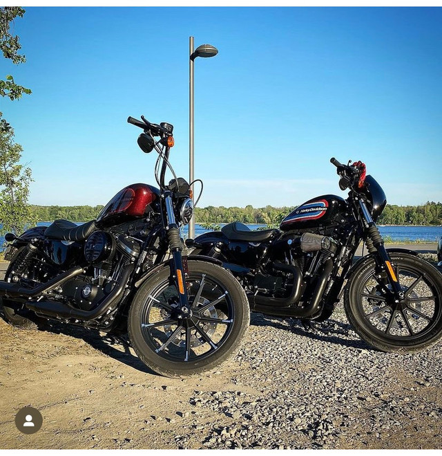 Harley davidson sportster 883xl 2019 in Touring in Gatineau - Image 3