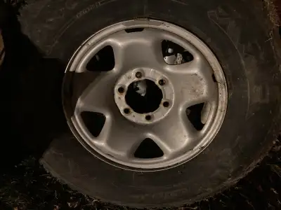 Set of steel rims from Toyota Tacoma 2013.