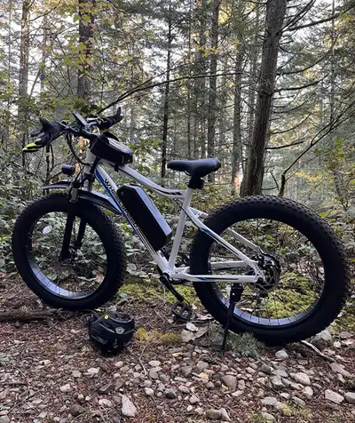 Just One Month Old E Bike (Lite Used) Wheelspeed 26" X 4.0" Electric Bike for Adults, 500W Motor 48V...