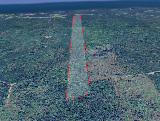75 Acre, Building + Woodlot63235989641475123