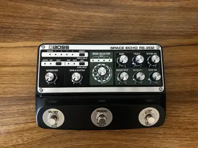 Space Echo RE-202, View more