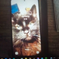 Samsung S20fe new screen