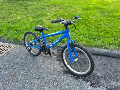 Schwinn kids 20" tire bike, View more