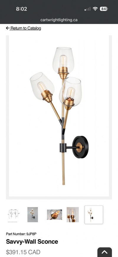 Savvy-Wall Sconce- wall hanging light decoration, View more