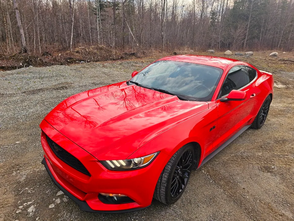Ford Mustang écoboost 2016