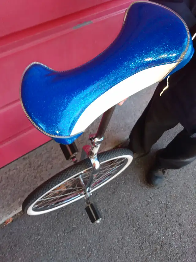 Unicycle in Other in Ottawa - Image 5