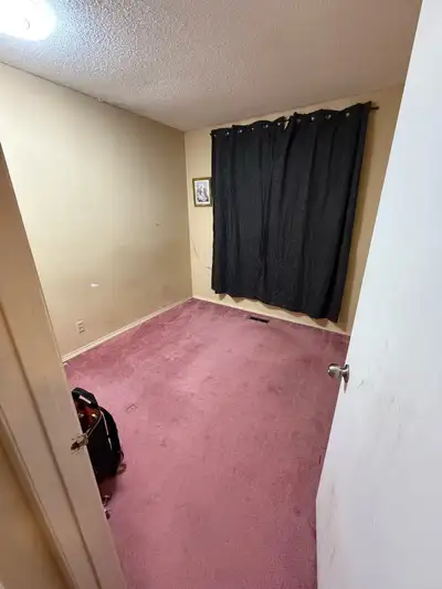 Private Room for Rent in a 3 bedroom house