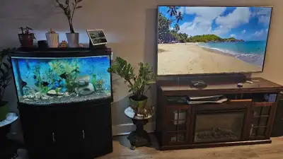 TV LG 65" Bonne état, View more