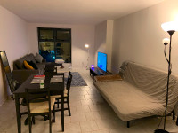 Fully furnished 2 Bedrooms Apartment