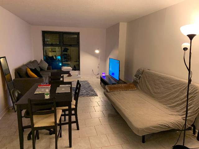Fully furnished 2 Bedrooms Apartment in Short Term Rentals in Ottawa