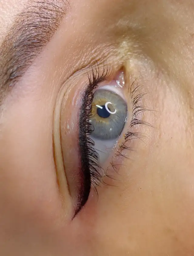 eyebrows microshading models needed in Health and Beauty Services in City of Toronto - Image 8