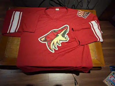 Phoenix Coyotes Hockey Jersey, View more