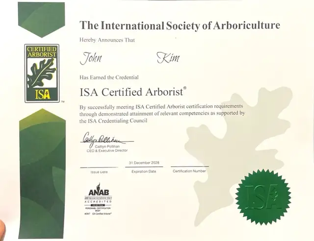 ISA ARBORIST - TREE SERVICES | STUMPS | CLEAN UP in Lawn, Tree Maintenance & Eavestrough in City of Toronto - Image 3