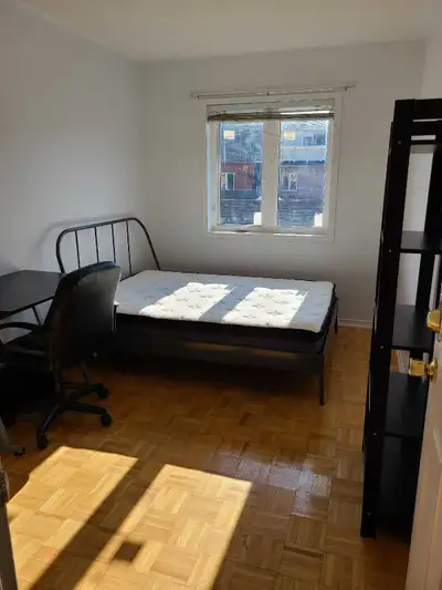 *Available November 1st* PRIVATE FURNISHED ROOM AT THE VILLAGE. 5 MIN WALK TO CAMPUS Looking for fem...