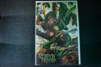 Grimm Fairy Tales : Robyn Hood complete comic books series