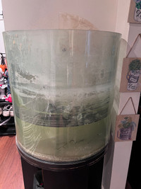 Aquarium 60gal bow front