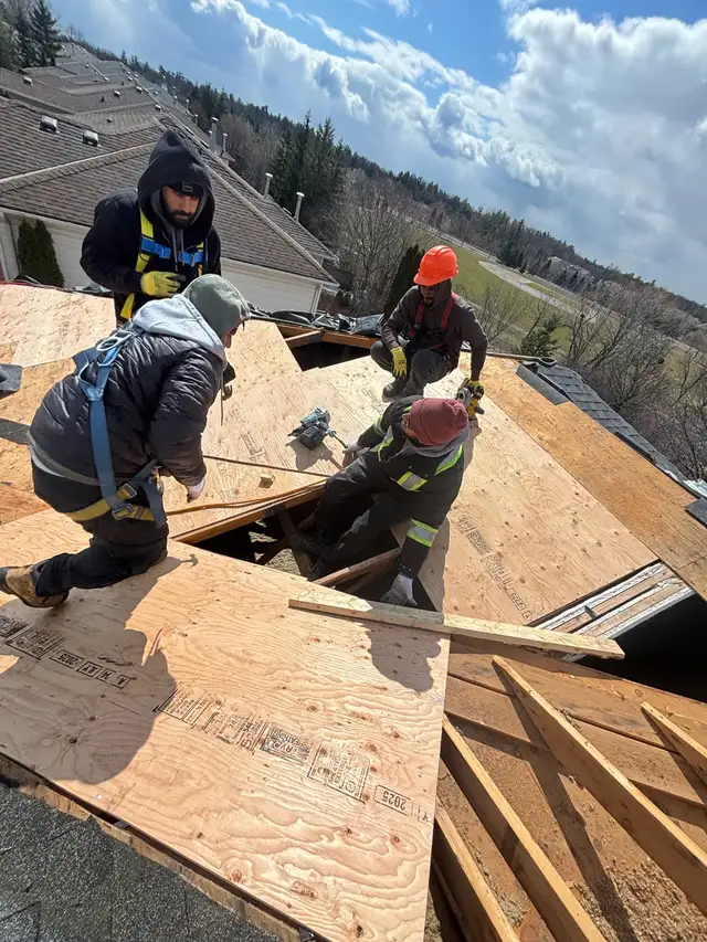 Roof Repair510357546656737282