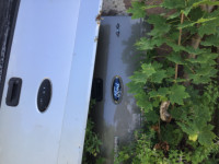ASSORTED TAILGATES, FORD F150, EXPLORER SPORTRAC,