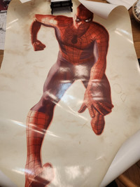 Spider-Man Lithograph