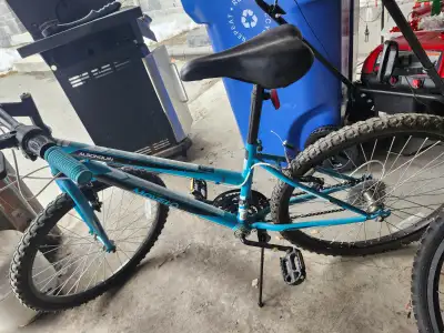 Mountain bike, View more