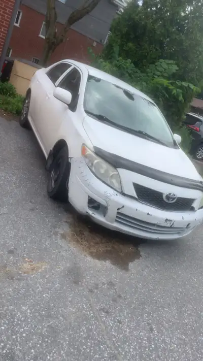 2010 Toyota carolla Manuel 5 speed 210,000km 1800$ CASH AUJOURDHUI NON NEGOTIABLE Car runs and drive...