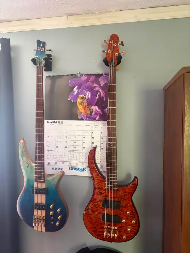 Bass player