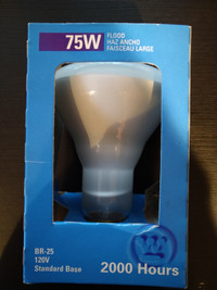 Westinghouse BR-25 Flood Light Bulb