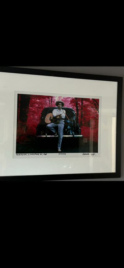 Bob Dylan infrared outside his home 1968….ELLIOT LANDY