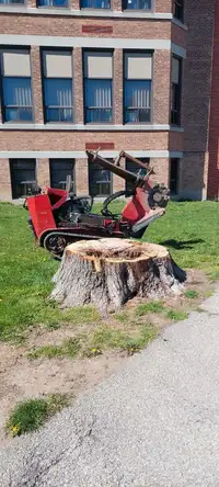 Stump and landscape removal