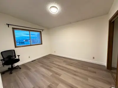 Sunny newly renovated room