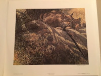 Cool Retreat - Lynx print by John Seery-Lester