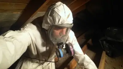 Demolition Asbestos & Mold : removal and testing, View more