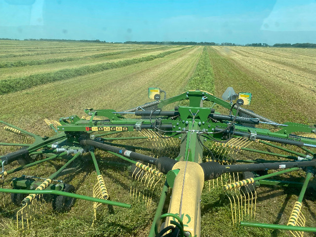 Alfalfa hay in Livestock in Saskatoon - Image 2