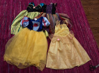 Girl size 4 to 6  Princesses and Fairy costumes
