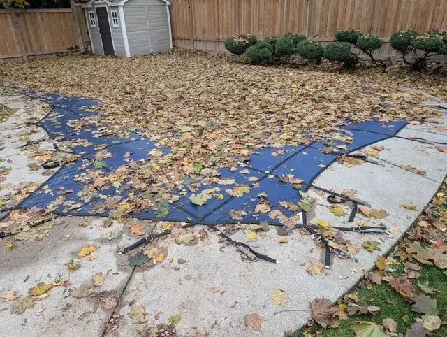 Fall Clean Up 2026576946675029135364