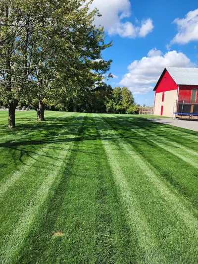 Fresh Cut Lawn Care , View more