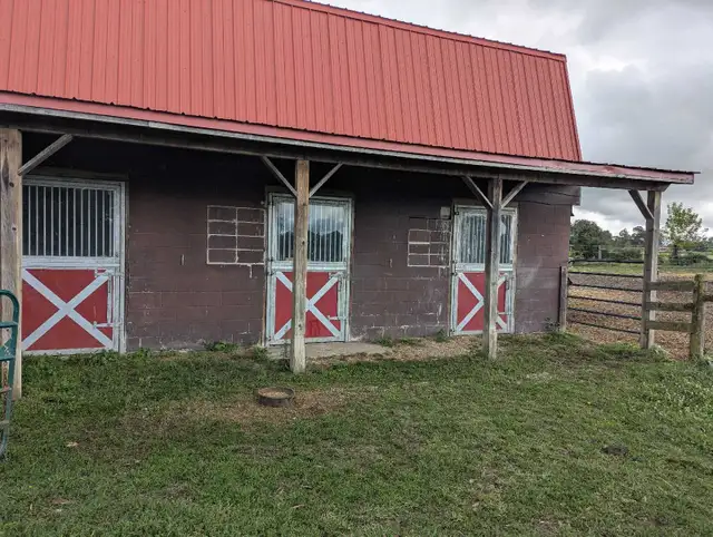 Peaceful Outdoor Board in Equestrian & Livestock Accessories in Kitchener / Waterloo - Image 4