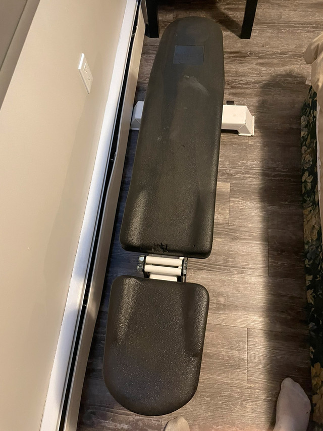 Northern Lights Adjustable Bench Exercise Equipment Calgary Kijiji
