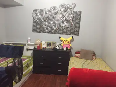 2 ROOM BASEMENT APARTMENT (1 ROOM AVAIL. TO SHARE FEMALES)